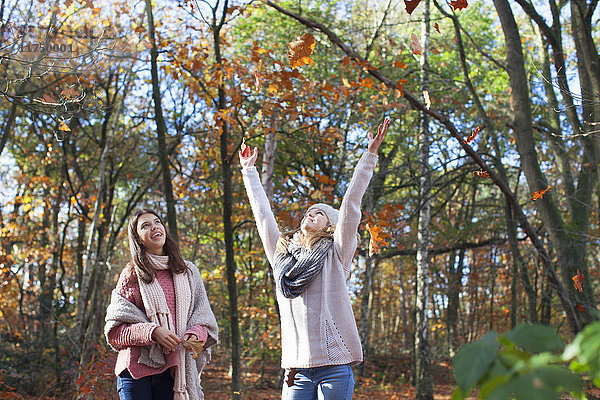 Teenager-Mädchen in Waldarmen erhoben  warfen Herbstblätter und blickten lächelnd auf
