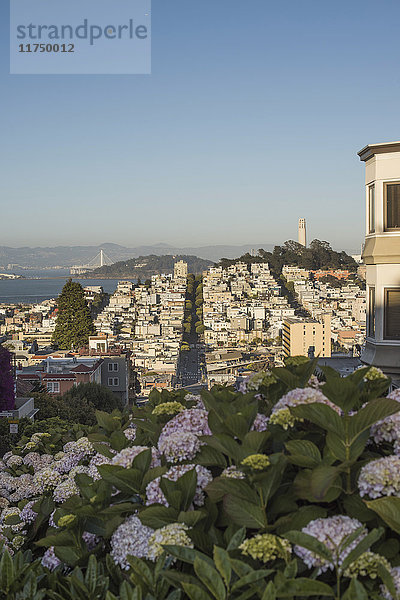 Ansicht von San Francisco von einem Hügel aus  USA