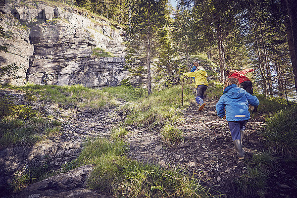 Gruppe von Kindern im Wald  bergauf gehend  Rückansicht