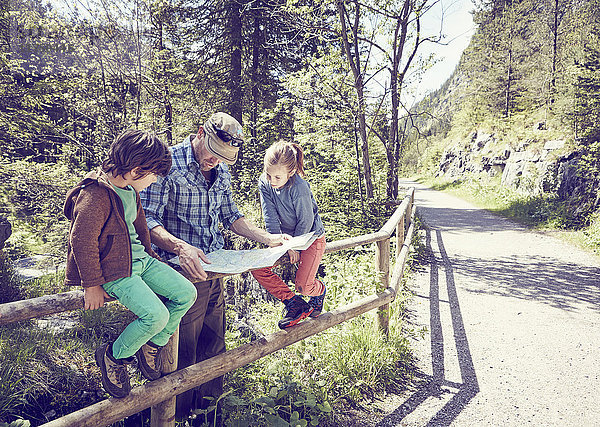 Vater und Kinder im Wald  Blick auf die Karte