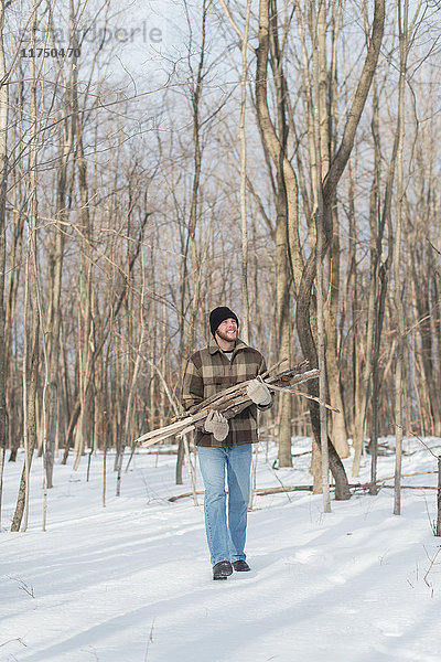 Mann sammelt Holz im Wald  Young's Point  Ontario  Kanada