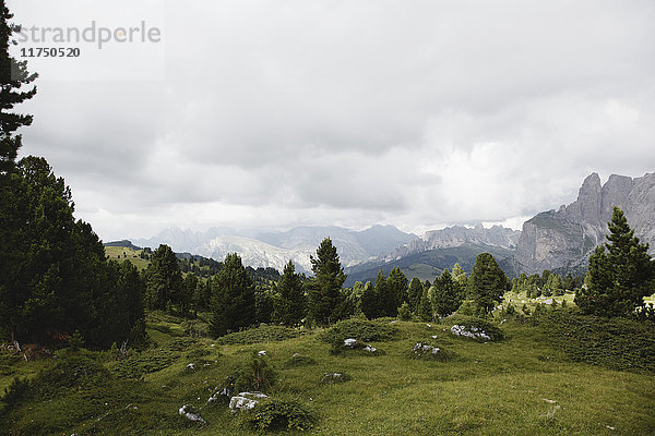 Panoramablick  Sellajoch  Dolomiten  Italien