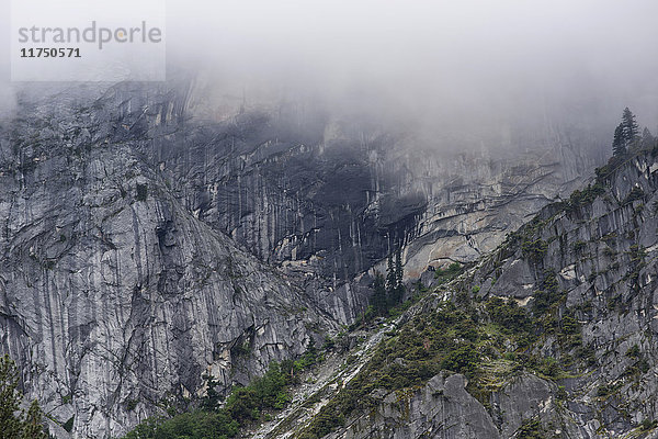Blick auf schroffe  neblige Berge  Yosemite National Park  Kalifornien  USA