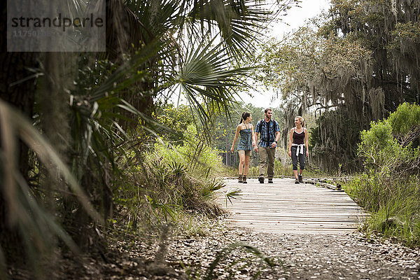 Wanderer auf dem Gehweg  Skidaway Island State Park   Savannah  Georgia  USA