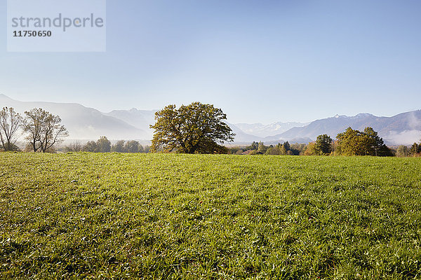 Landschaft mit Fernsicht auf das Murnauer Moos  Wettersteingebirge  Murnau  Bayern  Deutschland