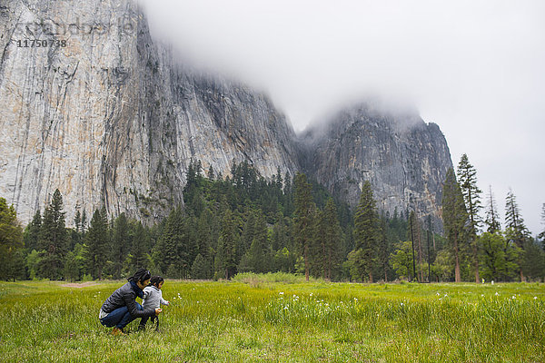 Mittlere erwachsene Frau kauert mit Kleinkind-Tochter auf der Wiese  Yosemite National Park  Kalifornien  USA