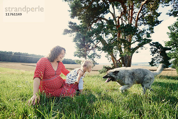 Schwangere Frau sitzt im Feld mit Kleinkind Tochter spielt mit Hund