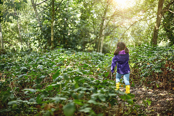 Junges Mädchen geht durch den Wald  Rückansicht