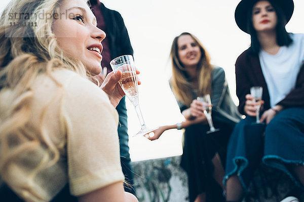 Gruppe von Freunden im Freien  Champagnergläser haltend  niedriger Blickwinkel