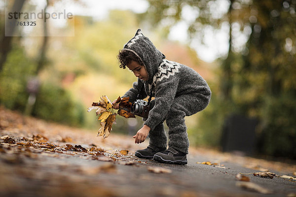 Junges Mädchen im Freien  im Strickanzug  sammelt Herbstblätter