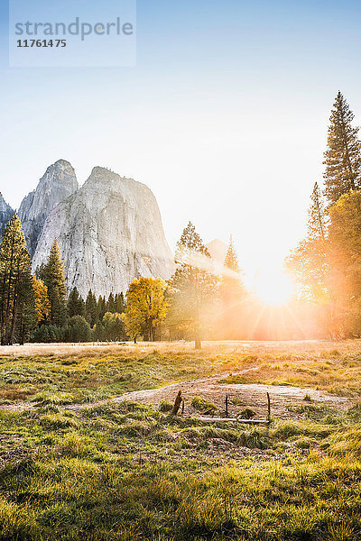 Wiesen- und Felsformationen bei Sonnenuntergang  Yosemite National Park  Kalifornien  USA