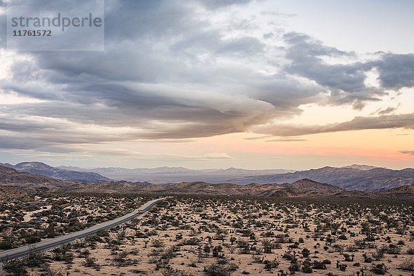 Landschaftsansicht eines entfernten Highways im Joshua-Tree-Nationalpark in der Abenddämmerung  Kalifornien  USA