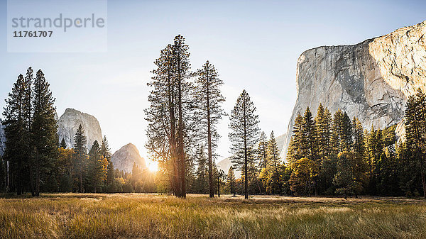Wiesen- und Felsformationen bei Sonnenuntergang  Yosemite National Park  Kalifornien  USA