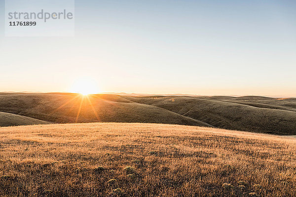 Sonnenuntergangslandschaft mit Blick auf sanfte Präriehügel  Bakersfield  Kalifornien  USA