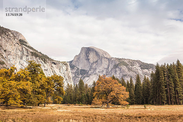 Herbstfarbene Landschaft und Berge  Yosemite National Park  Kalifornien  USA