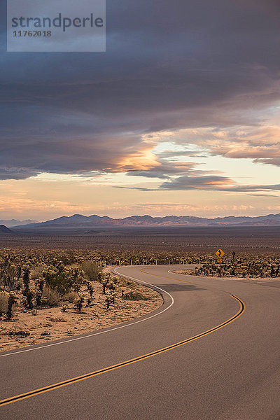 Landschaftsansicht einer kurvenreichen Straße im Joshua-Tree-Nationalpark in der Abenddämmerung  Kalifornien  USA