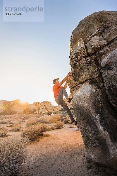 Männlicher Boulderer beim Aufstieg auf einen Felsblock im Joshua-Tree-Nationalpark in der Abenddämmerung  Kalifornien  USA