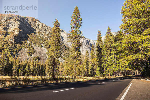 Autobahn durch den Yosemite National Park  Kalifornien  USA