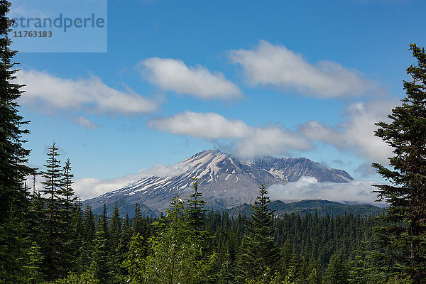 Wolke über dem Mount St. Helens  Teil der Cascade Range  Region Pazifischer Nordwesten  Bundesstaat Washington  Vereinigte Staaten von Amerika  Nordamerika