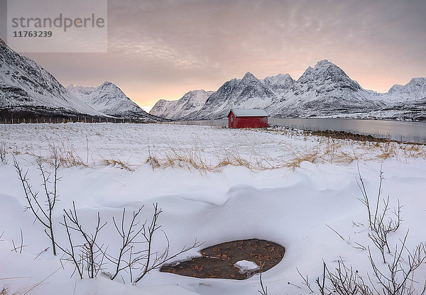 Panorama des rosa Himmels in der Morgendämmerung auf der Holzhütte  umgeben von gefrorenem Meer und verschneiten Gipfeln  Svensby  Lyngen Alps  Troms  Norwegen  Skandinavien  Europa