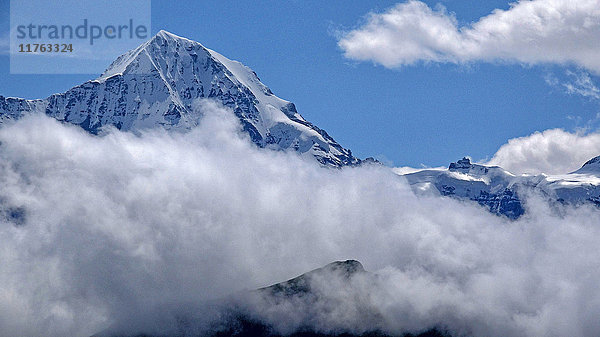 Jungfraujoch und Mönch  Grindelwald  Berner Oberland  Kanton Bern  Schweiz  Europa