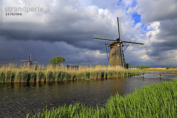 Windmühlen in Kinderdijk  UNESCO-Welterbestätte  Südholland  Niederlande  Europa