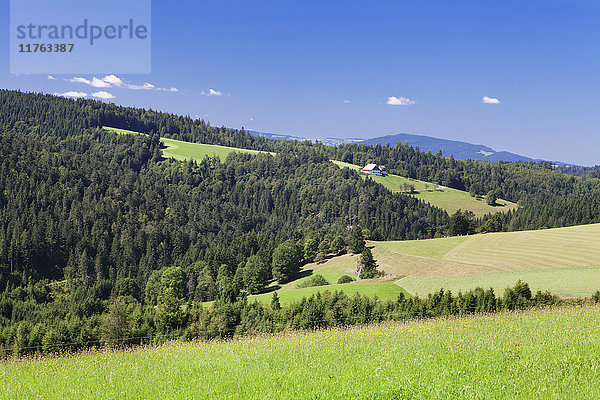 Landschaft mit Bauernhaus  bei Schonwald  Schwarzwald  Baden Württemberg  Deutschland  Europa