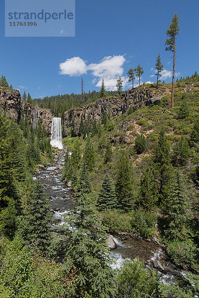 Tumalo Falls  ein 97 Fuß hoher Wasserfall am Tumalo Creek  in der Cascade Range westlich von Bend  Oregon  Vereinigte Staaten von Amerika  Nordamerika