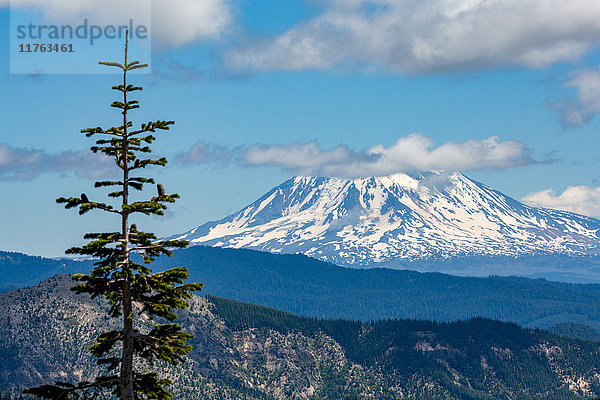 Mount Adams vom Mount St. Helens aus gesehen  Teil der Cascade Range  Region Pazifischer Nordwesten  Bundesstaat Washington  Vereinigte Staaten von Amerika  Nordamerika