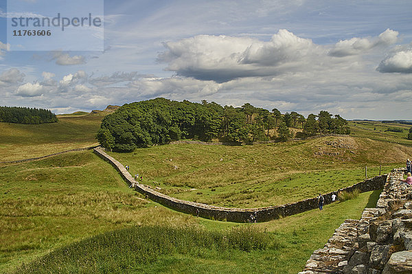 Ein Abschnitt des Hadrianswalls bei Housesteads Fort  Bardon Mill  UNESCO-Weltkulturerbe  Northumberland  England  Vereinigtes Königreich  Europa