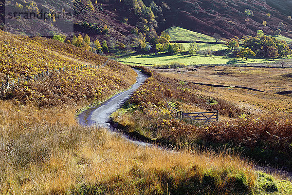 Herbstlicher Blick auf ein Tor und eine gewundene Straße durch die farnbewachsenen Hügel und Fjälls des Langdale Valley im Lake District National Park  Cumbria  England  Vereinigtes Königreich  Europa