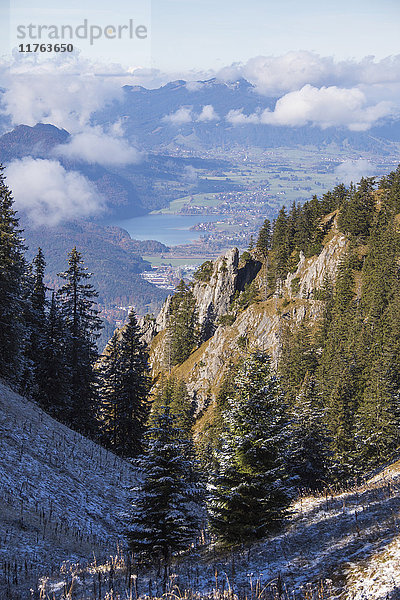 Frost auf Bäumen in den Wäldern der Ammergauer Alpen  Tegelberg  Füssen  Bayern  Deutschland  Europa