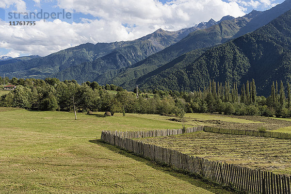 Bukolische Landschaft  Lashtkhveri  Region Svaneti  Georgien  Kaukasus  Asien