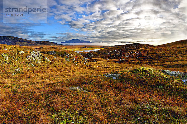 Herbstlicher Blick auf die mit buntem Gras bewachsenen Hügel und Moore der Kentra Bay  während sich unter den Bergen am Horizont Nebel bildet  Highlands  Schottland  Vereinigtes Königreich  Europa