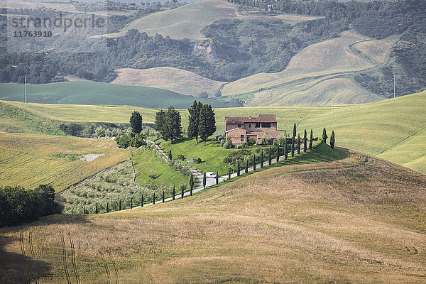 Grüne sanfte Hügel und Bauernhäuser in Crete Senesi (Senese Clays)  Provinz Siena  Toskana  Italien  Europa