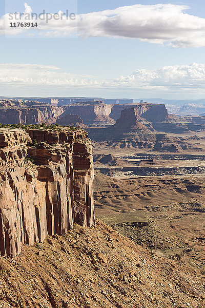 Felsformationen im Canyonlands National Park  Moab  Utah  Vereinigte Staaten von Amerika  Nordamerika
