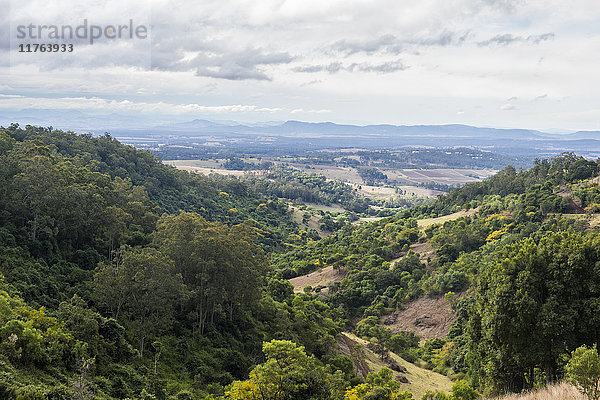 Blick über die Weinregion Hunter Valley  New South Wales  Australien  Pazifik
