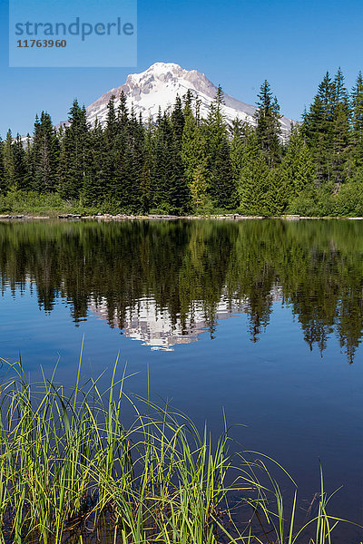 Mount Hood  Teil der Cascade Range  spiegelt sich im stillen Wasser des Mirror Lake  Region Pazifischer Nordwesten  Oregon  Vereinigte Staaten von Amerika  Nordamerika