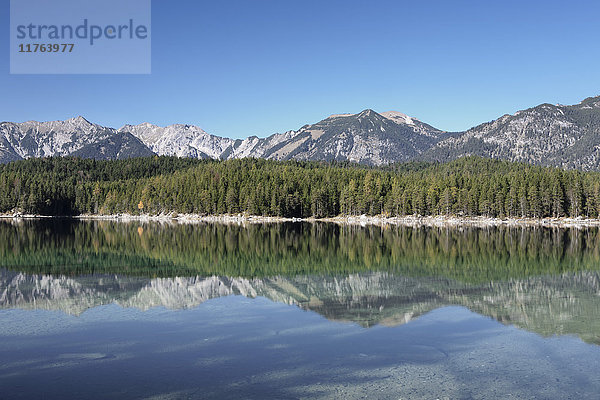 Reflektionen  Eibsee  Bayern  Deutschland  Europa