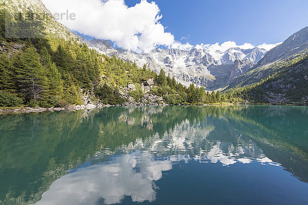 Felsgipfel und Wälder spiegeln sich im Lago Aviolo  Vezza d'Oglio  Camonica-Tal  Provinz Brescia  Lombardei  Italien  Europa