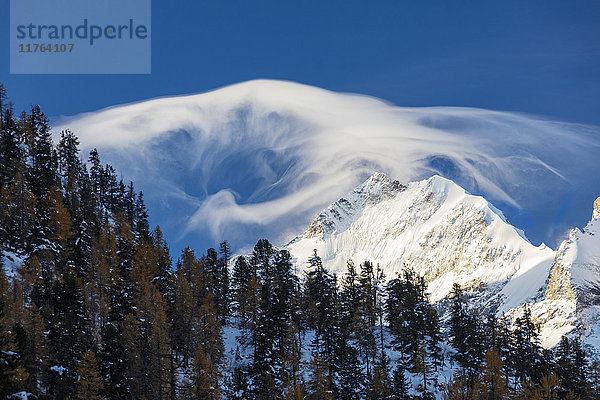 Weiße Wolken in der Morgendämmerung beleuchten den Piz Bernina und den Biancograt  umrahmt von Wäldern  Kanton Graubünden  Engadin  Schweiz  Europa