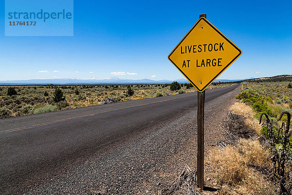 Leere Straße in der Hochwüste von Oregon mit dem Schild Livestock at Large und den Gipfeln der Three Sisters in der Ferne  Oregon  Vereinigte Staaten von Amerika  Nordamerika