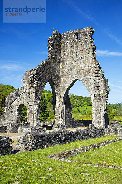 Talley Abbey  nahe Llandeilo  Carmarthenshire  Wales  Vereinigtes Königreich  Europa