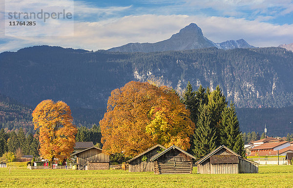 Holzhütten umgeben von bunten Bäumen im Herbst  Garmisch Partenkirchen  Oberbayern  Deutschland  Europa