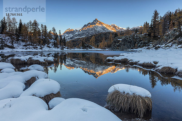 Der felsige Gipfel spiegelt sich im gefrorenen Mufule-See in der Morgendämmerung  Malenco-Tal  Provinz Sondrio  Valtellina  Lombardei  Italien  Europa