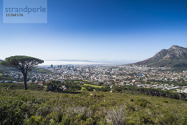 Blick über Kapstadt  Südafrika  Afrika