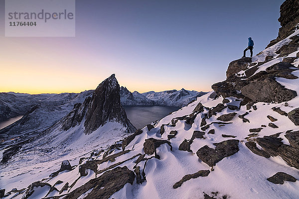 Wanderer auf dem Gipfel des Hesten bewundert den Berg Segla und den Mefjorden  umrahmt vom gefrorenen Meer bei Sonnenaufgang  Senja  Troms  Norwegen  Skandinavien  Europa