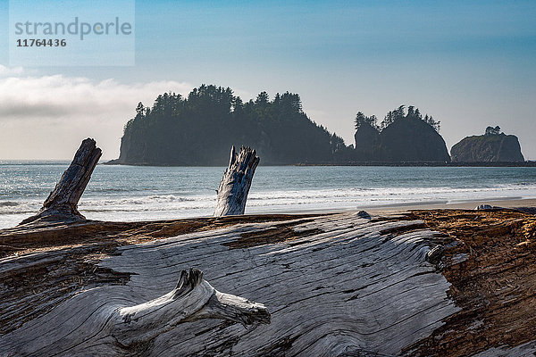 James Island mit Treibholz am Strand von La Push an der pazifischen Nordwestküste  Staat Washington  Vereinigte Staaten von Amerika  Nordamerika