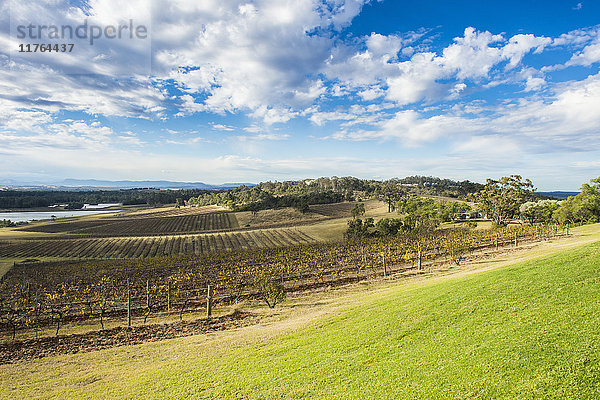 Blick über die Weinregion Hunter Valley  New South Wales  Australien  Pazifik