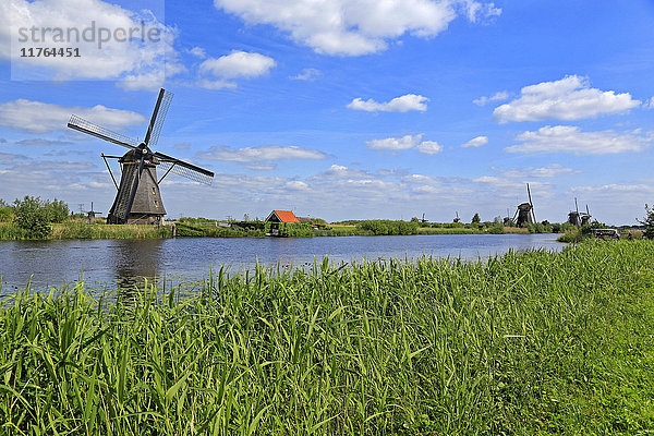 Windmühlen in Kinderdijk  UNESCO-Weltkulturerbe  Südholland  Niederlande  Europa